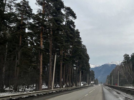 Более 600 грузовиков скопились на российско-грузинской границе в Северной Осетии