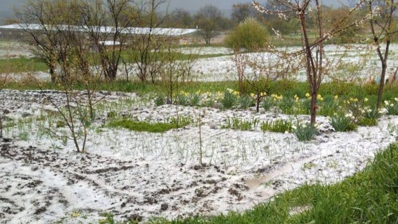 Град засыпал станицу Боргустанскую на Ставрополье