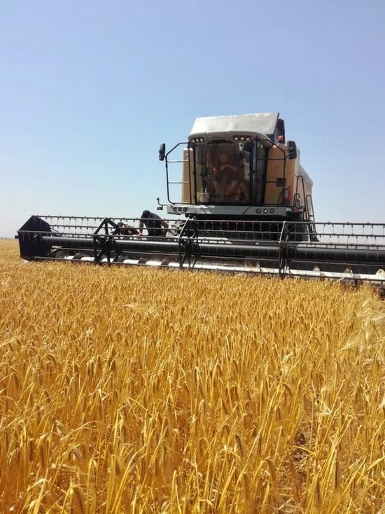 Ставрополье отправило в побратимский Антрацит 5 тонн семян кукурузы для весеннего сева