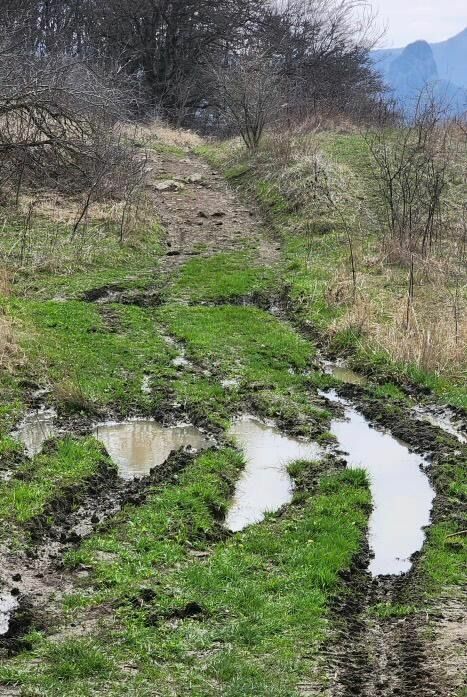 Свалки на территориях памятников природы Ставрополья выявила прокуратура3
