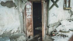 Усыпление собак и ремонт дома пенсионерки — новости дня на Ставрополье3