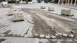Усыпление собак и ремонт дома пенсионерки — новости дня на Ставрополье4