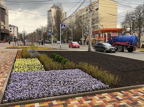 В Ставрополе разбили новую фактурную клумбу площадью 100 кв. метров