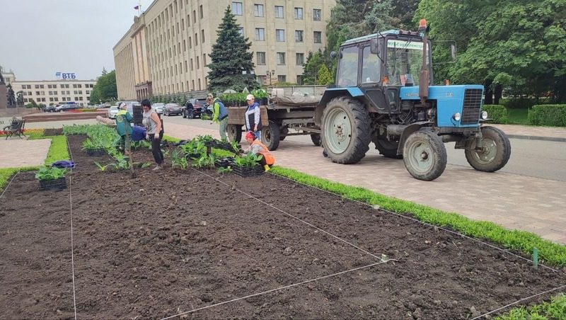 Почти 500 тыс. цветов высадят в июне на клумбах Ставрополя