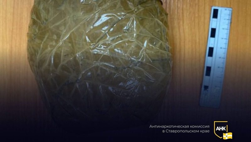 Полкилограмма синтетического наркотика изъяли у жителя Александровского округа