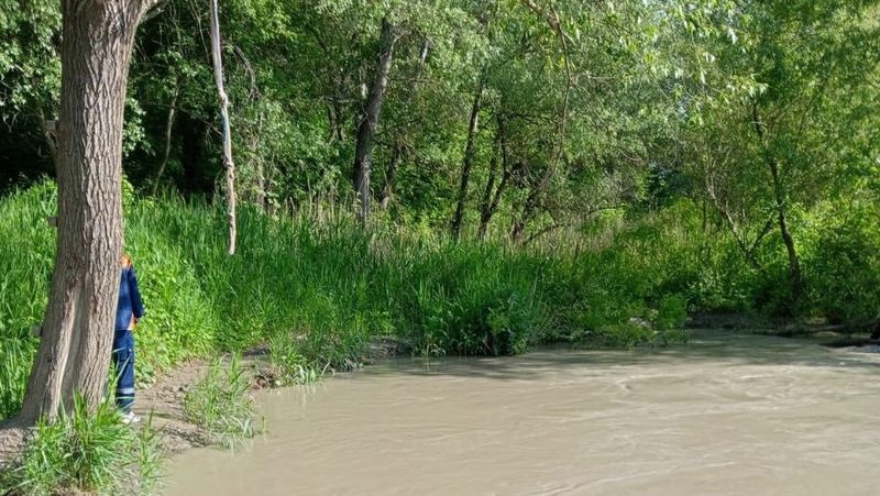 Прыжок в реку на «тарзанке» привёл к гибели нетрезвого купальщика в Георгиевском округе