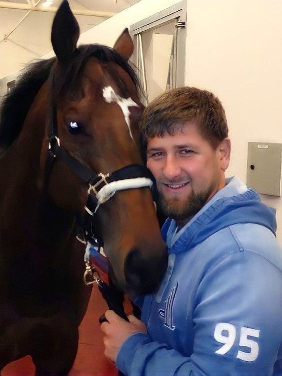 Рамзан Кадыров за 18 тысяч долларов выкупил у украинских спецслужб своего украденного коня Зазу