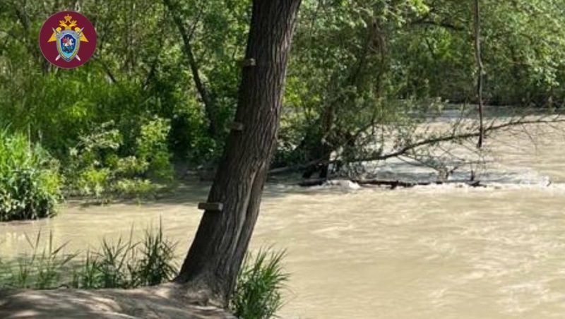 Следком выяснит обстоятельства гибели мужчины после прыжка в реку в Георгиевском округе