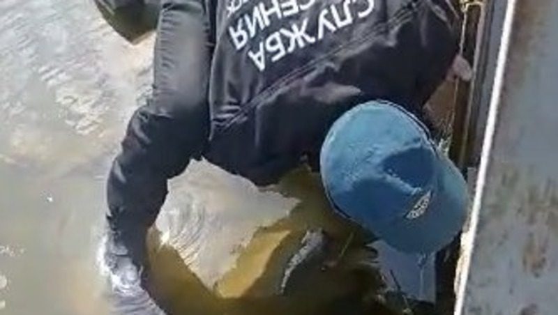 Утят из водосборной трубы высвободили спасатели Невинномысска