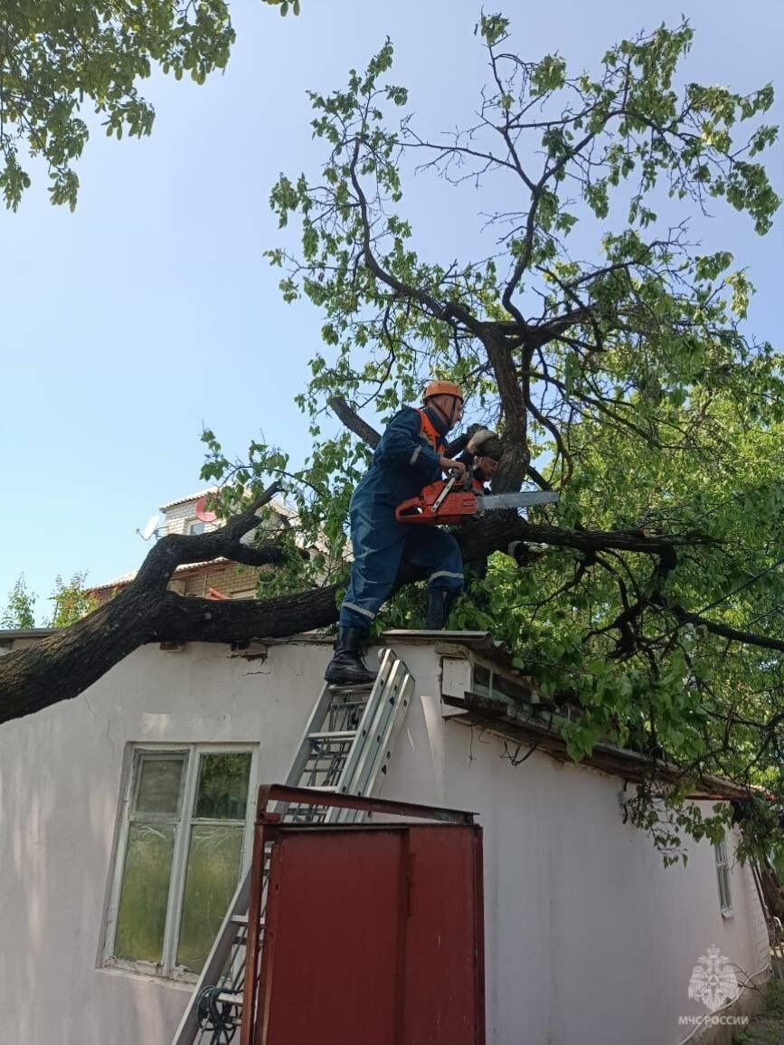 В Ставрополе из-за сильного ливня затопило 73 двора1