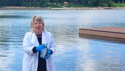 Водоемы для купания в Ставропольском крае проверяют на холеру и загрязнения0