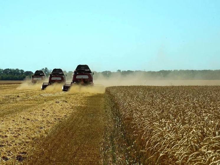 Аграрии Ставрополья намолотили первый миллион тонн зерна