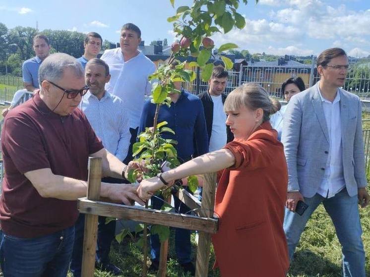 Деревья, посаженные в новой школе Кисловодска сенатором РФ, дали первые плоды