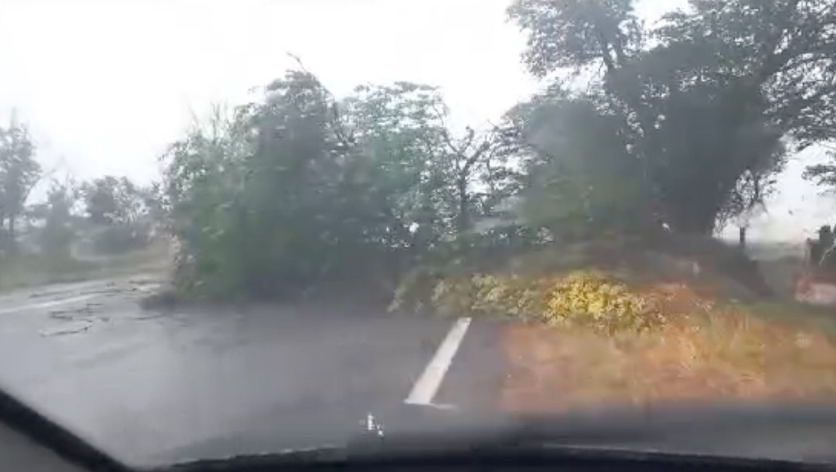 Дерево рухнуло на трассу из-за урагана и заблокировало проезд на Ставрополье0