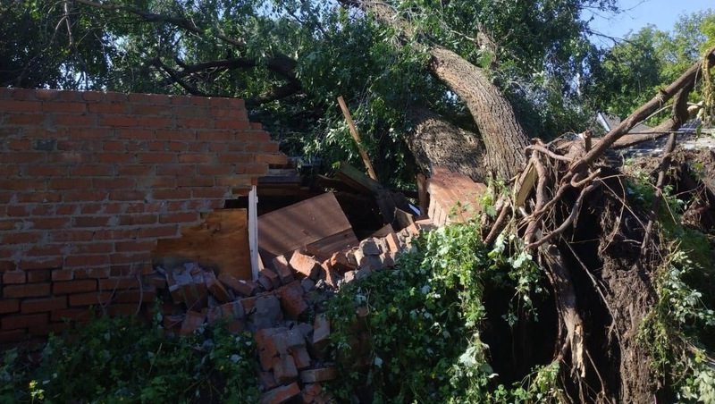 Домовладение в Георгиевске пострадало от падения ясеня после ливня