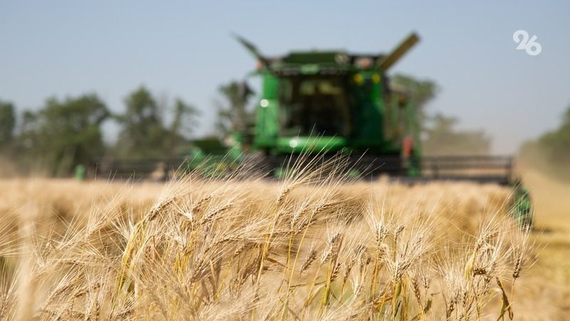 Губернатор Владимиров: Аграрии Ставрополья собрали первый миллион тонн зерна