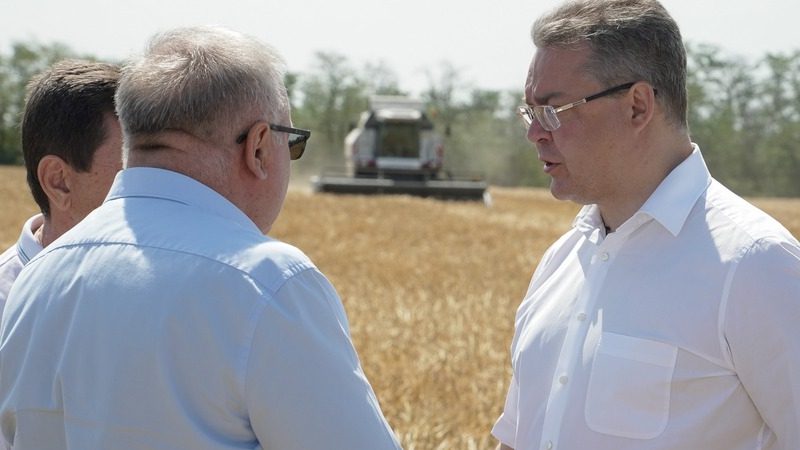 Порядка 2,4 млн га зерновых и зернобобовых культур уберут на Ставрополье в 2023 году