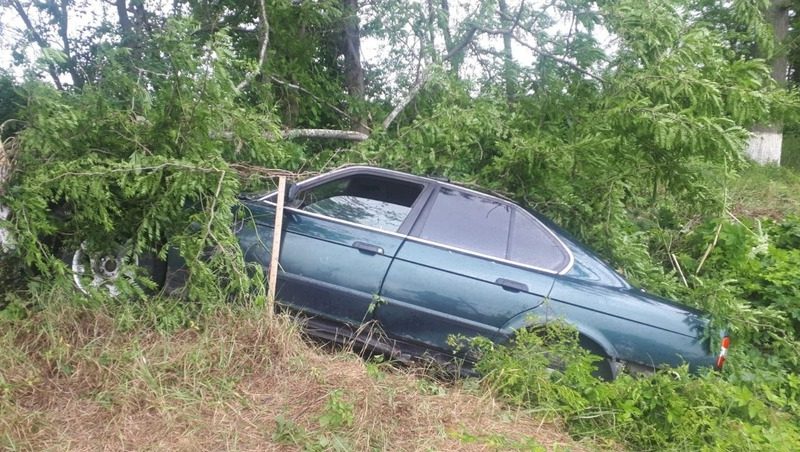 Потерял создание и врезался в дерево водитель BMW в Курском округе