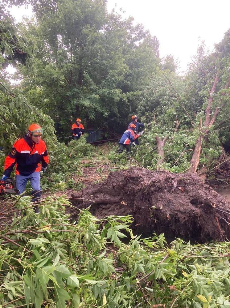 В Левокумском округе Ставрополья ураган повалил деревья
