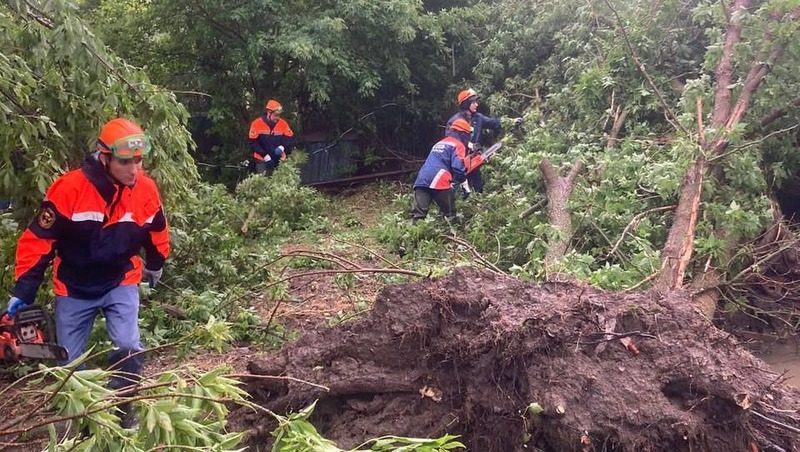 В селе Правокумском устраняют последствия урагана