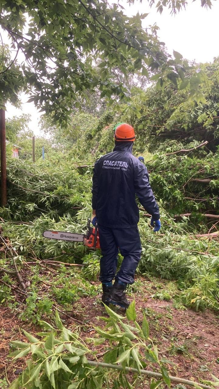 Затопило дворы и снесло деревья: последствия стихии устраняют на Ставрополье4