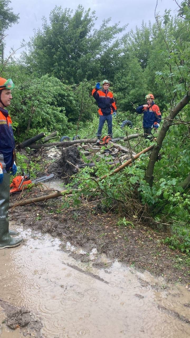 Затопило дворы и снесло деревья: последствия стихии устраняют на Ставрополье0