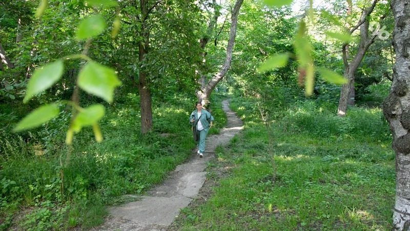 Жгут костры и коз пасут: удастся ли энтузиастам спасти памятник природы в Михайловске