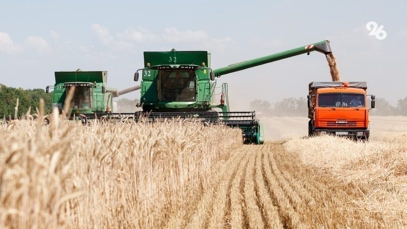 Более 1 млн га зерна обмололи аграрии Ставрополья