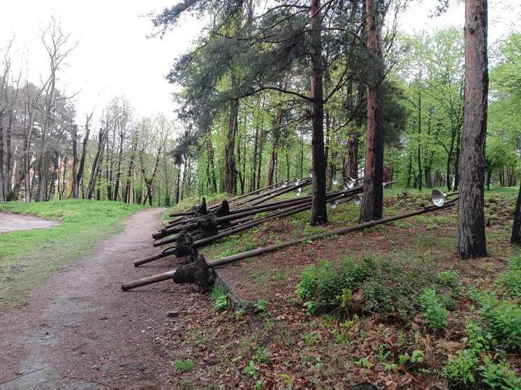 Комсомольский парк Кисловодска впервые за 40 лет будет отремонтирован