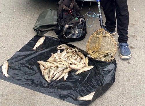 Молодого парня будут судить за незаконную ловлю форели в Северной Осетии0