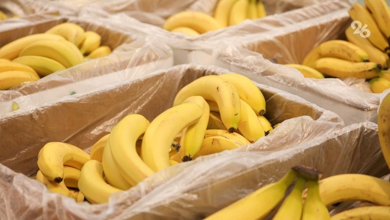 Огурцы и бананы почти на 9% подорожали за неделю на Ставрополье
