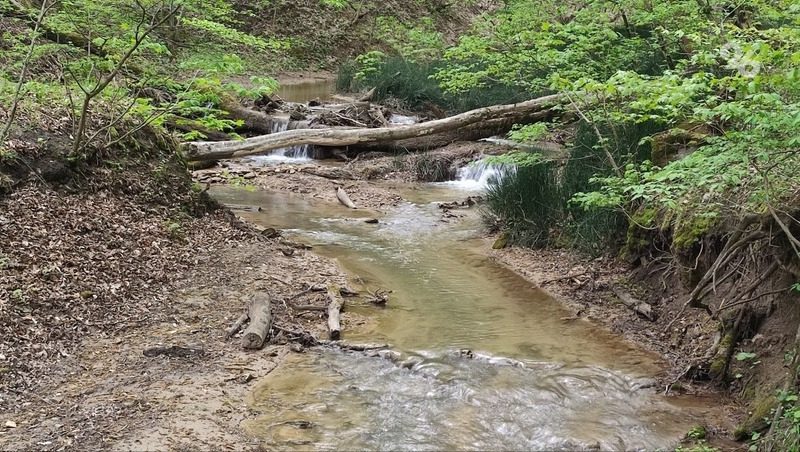 Повреждённую водопроводную трубу отремонтровали в Таманском лесу в Ставрополе