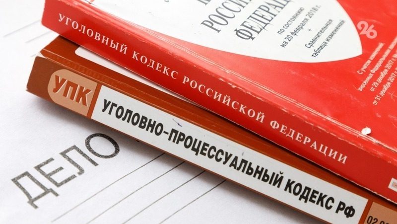 Следком возбудил уголовное дело по факту нападения на Милашину и Немова в Чечне