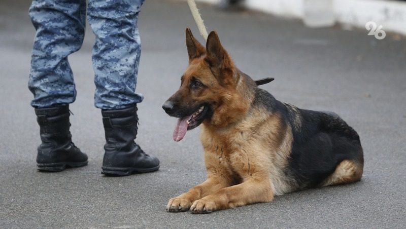 Снаряд времён Гражданской войны обезвредит группа сапёров в Георгиевском округе