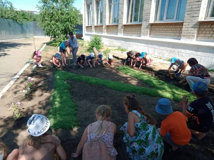 В пришкольном лагере на Ставрополье дети высадили клумбу в форме буквы Z