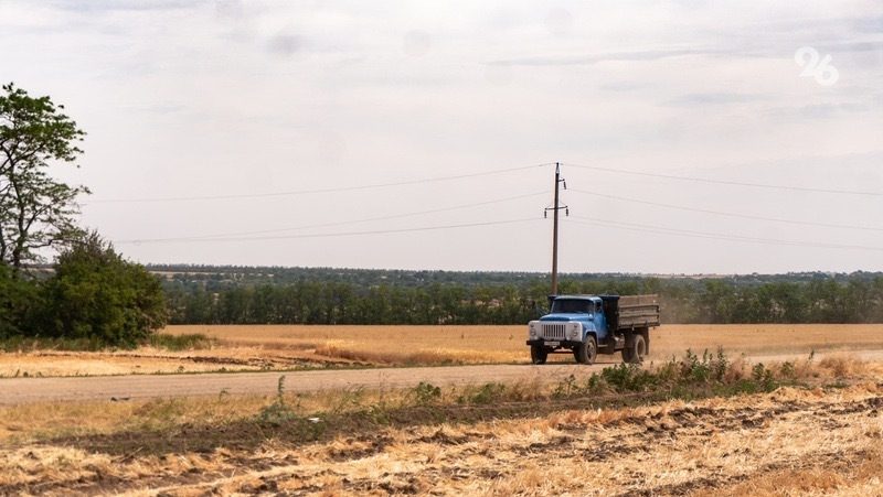 Аграрии Ставрополья начали подготовку семян к осеннему севу