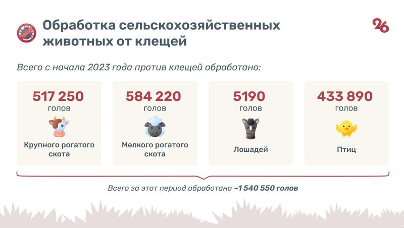 Более 1,5 млн сельхозживотных обработали от клещей на Ставрополье