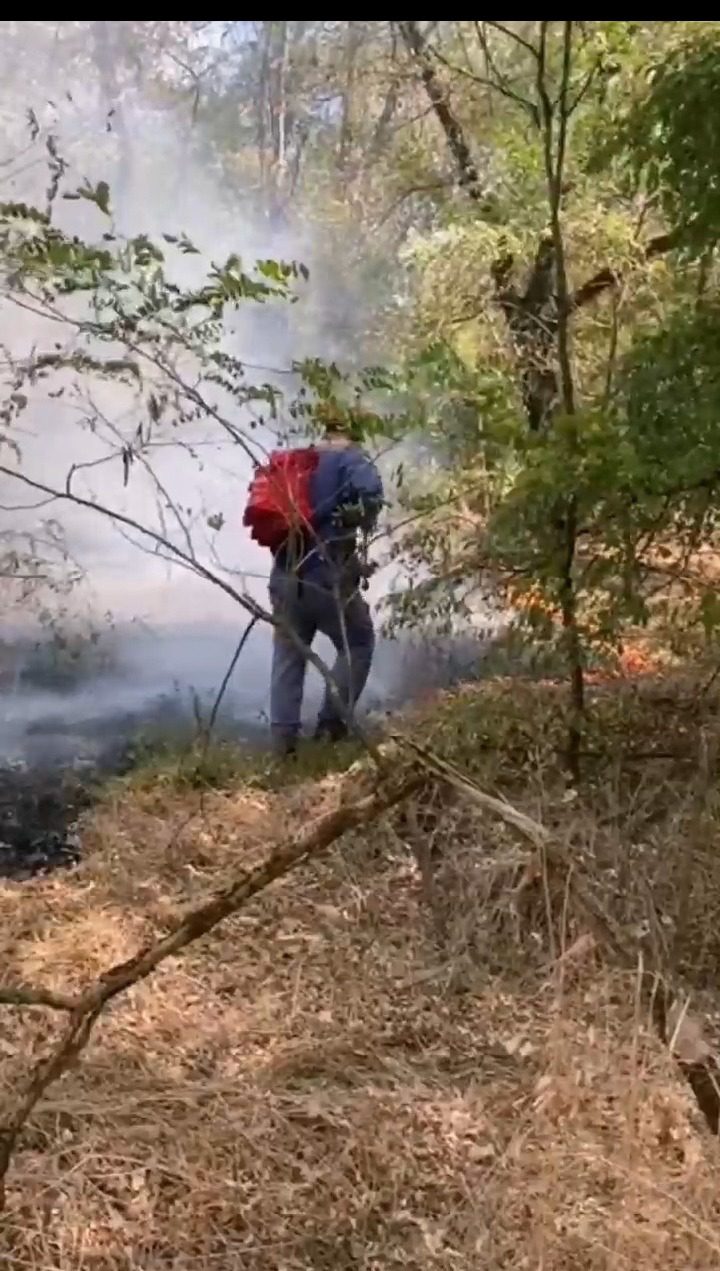 Больше 50 раз за сутки спасатели выезжали тушить пожары на Ставрополье0
