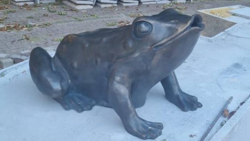 Бронзовые лягушки вернулись в «Центральный» парк Ставрополя