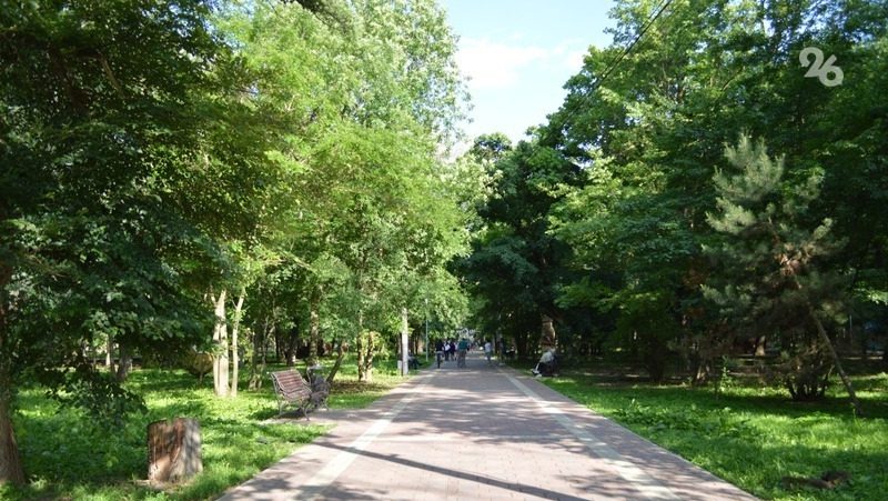 Экопраздник «Зелёная Система» пройдёт 20 августа в Ставрополе