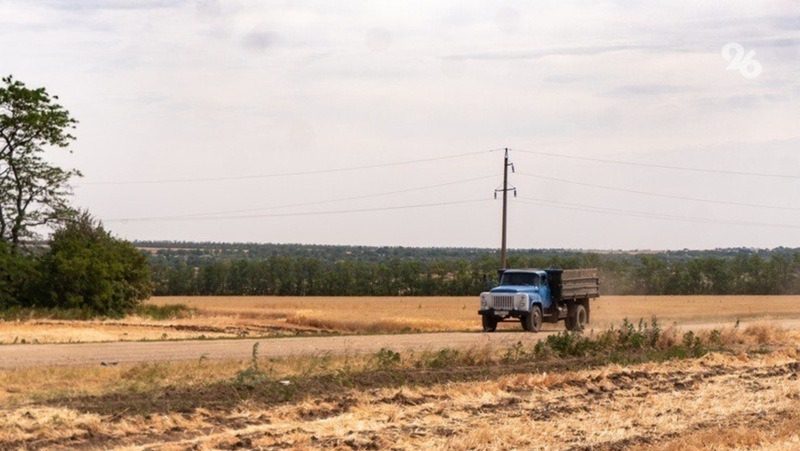 Искусственнный интеллект внедрят в АПК Ставрополья