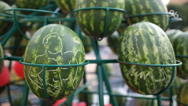Каждый пятый рубль от продаж на ягодном 3D-фестивале в Кисловодске пойдёт на нужды СВО