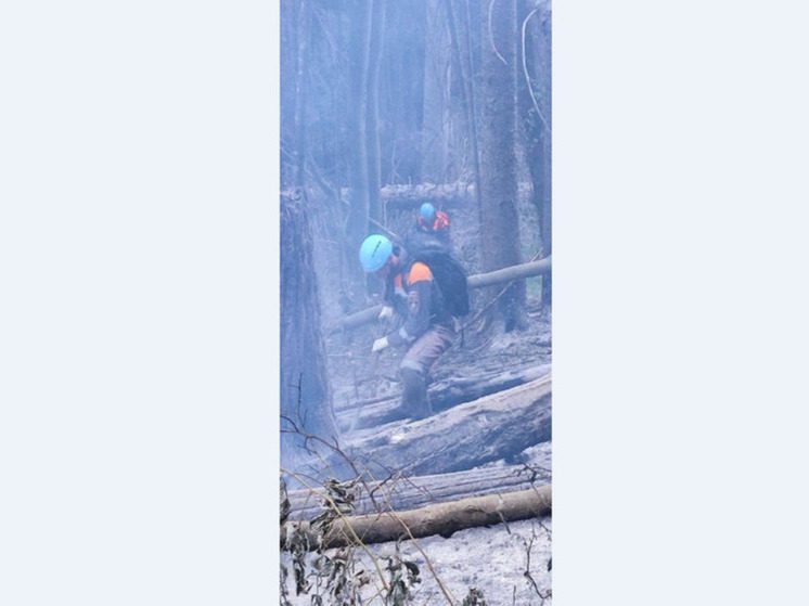 Лесной пожар произошел в Тебердинском нацпарке в Карачаево-Черкесии
