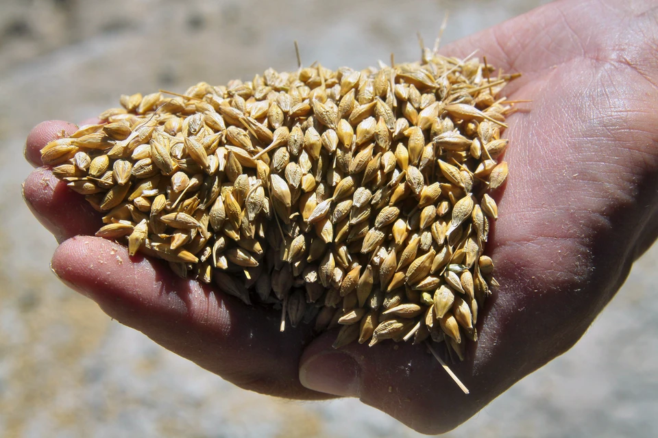 На Ставрополье аграрии закончили жатву зерна