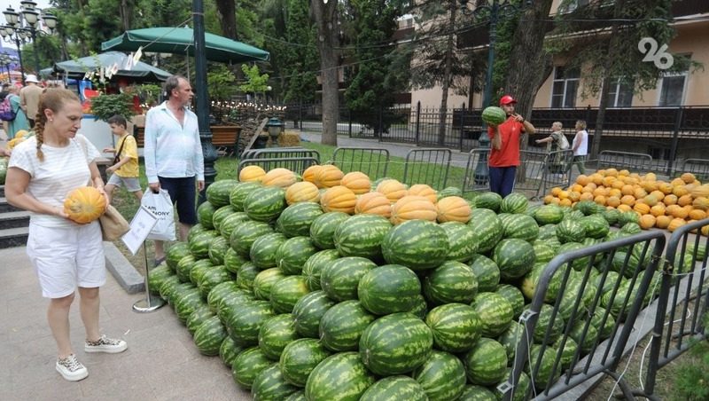 Полмиллиона рублей на нужды СВО планируют собрать на ягодном фестивале в Кисловодске