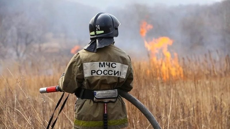 Спасатели и пожарные вызволили из огненной ловушки семью в Красногвардейском округе