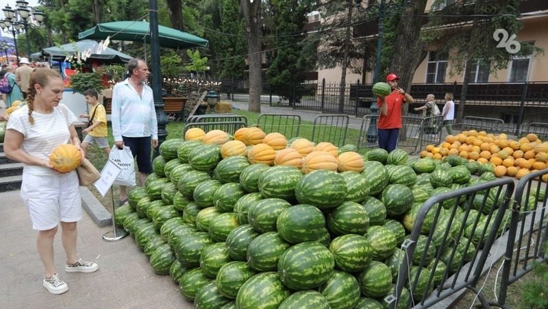 Ставропольцам советуют покупать арбузы и дыни только в специально отведённых местах