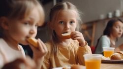 Власти округа на Ставрополье не смогли заключить контракт на питание в детсадах0