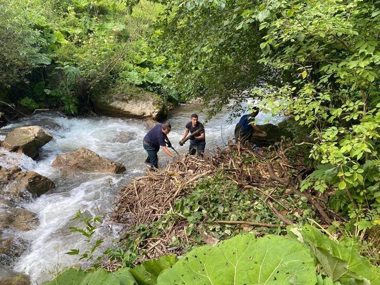 Экологи Кисловодска в рамках акции «Вода России» очистят русло реки Березовая