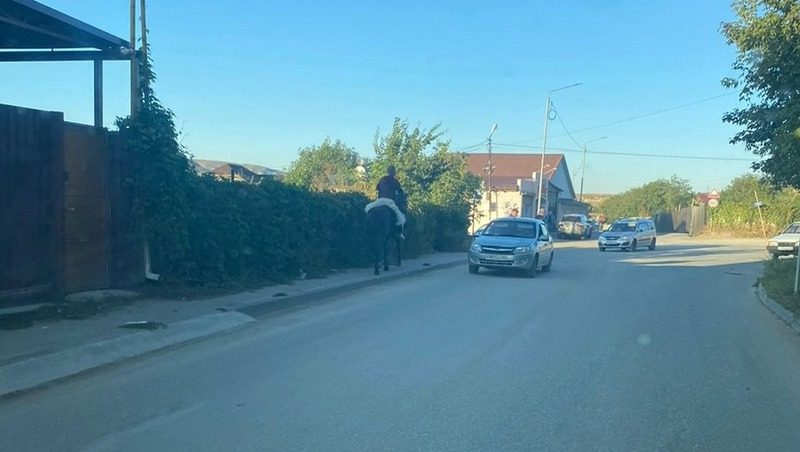 Нетрезвый ставрополец нарушил ПДД в Кисловодске верхом на лошади